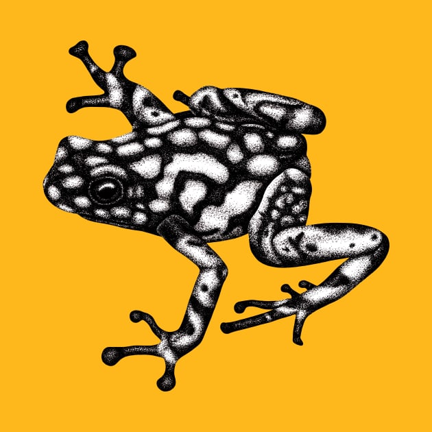 Harlequin poison frog illustration by lorendowding