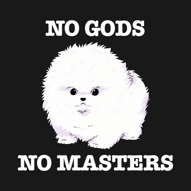 Disover No Gods, No Masters (white) - No Gods No Masters - T-Shirt