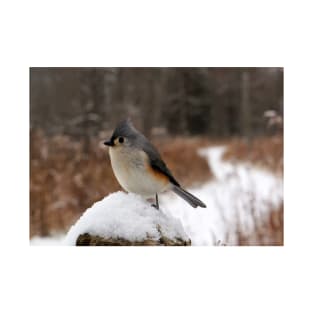 Titmouse in the Snow T-Shirt