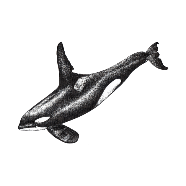Orca killer whale ink drawing - Killer Whale - Tapestry | TeePublic