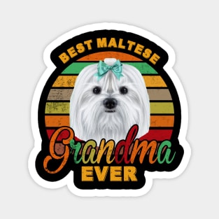 Best Maltese Grandma Ever Magnet