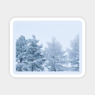 Winter wonderland Magnet