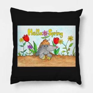 Hello Spring Pillow