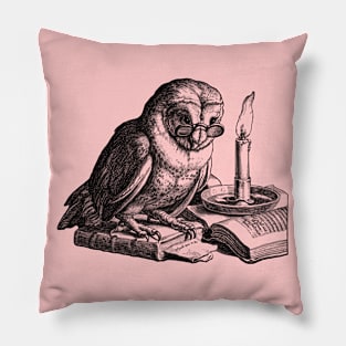 Owl knowledge Pillow