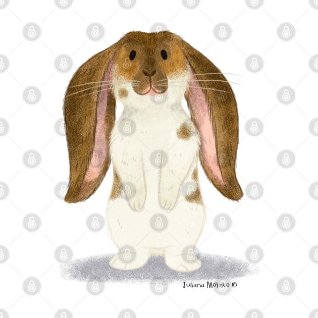 English Lop Rabbit by julianamotzko