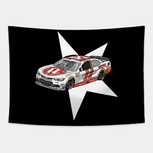 nascar Tapestry