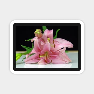 Two Lilies close up Magnet