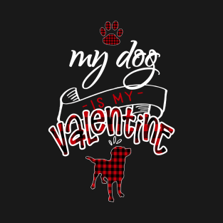 My Dog Is My Valentine Funny Dog Lover Holiday Cute Gift T-Shirt