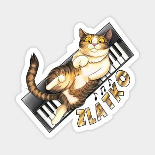 Zlatko on keyboard Magnet