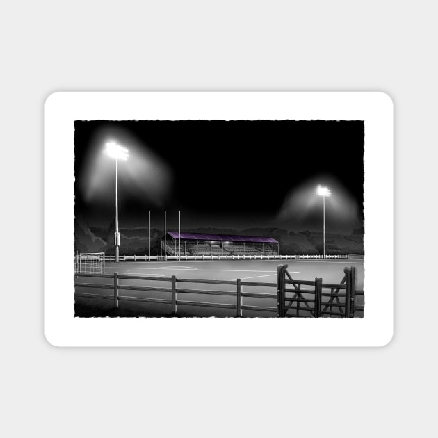 Ferrycarrig Park - Wexford FC League of Ireland Football Artwork Magnet by barrymasterson