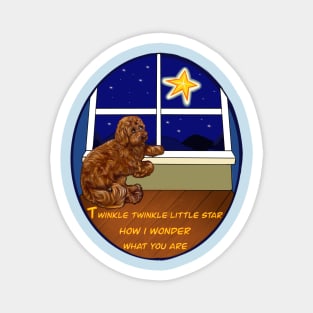 Nursery rhyme twinkle twinkle little star  Cavapoo puppy dog  - cavalier King Charles spaniel poodle Magnet