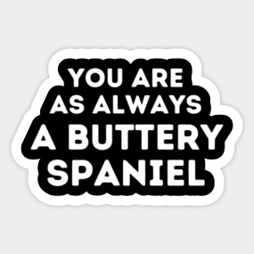 Bob Mortimer Train Guy Buttery Spaniel Win Win Count Me In