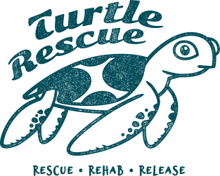 Turtle Rescue - Rescue Rehab Release Magnet