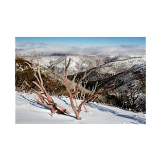 Snow on the mountainside T-Shirt