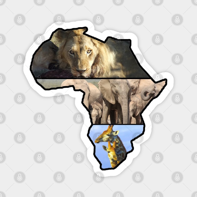 African Wildlife Continent Collage Magnet by PathblazerStudios