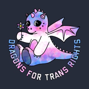 Dragons For Trans Rights T-Shirt