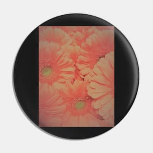 GERBERA ,,House of Harlequin Pin