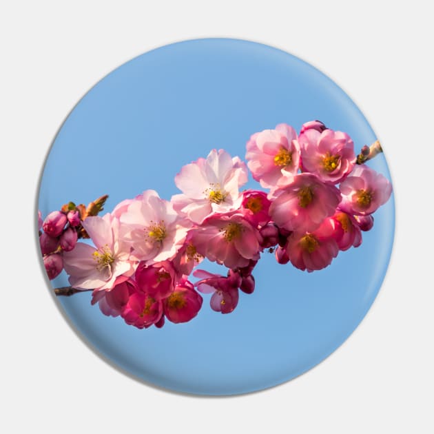 Springtime Pin by Naturelovers