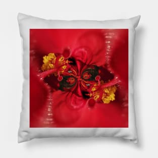 doodles and design based on a red and gold hibiscus flower Pillow