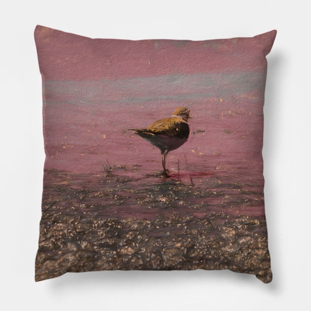 Sandpiper in the marsh illustration Pillow by CanadianWild418