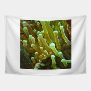 Giant Yellow Sea Anemone Tapestry