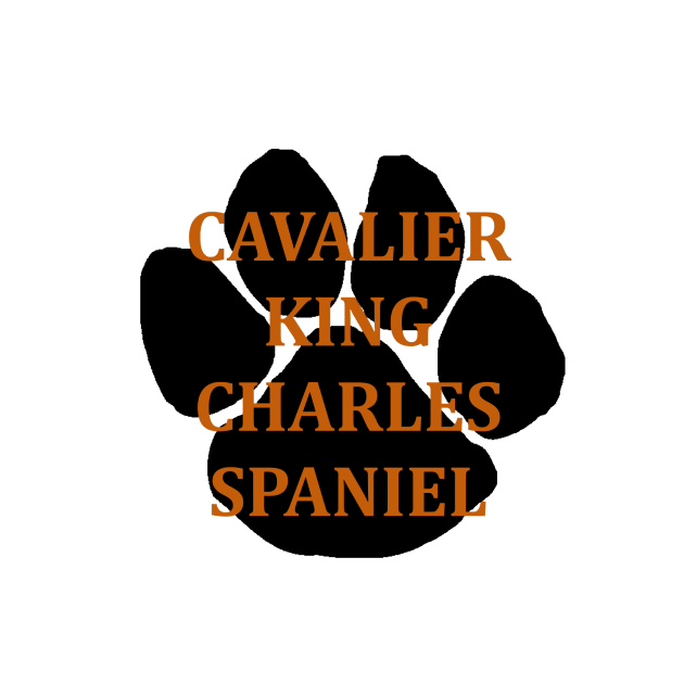 cavalier king charles spaniel name paw by Wanderingangel