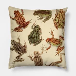 Vintage Frogs Pillow