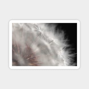 Dandelion “Wishie” Seedhead Magnet