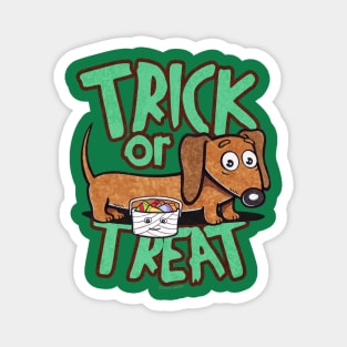 Funny and cute doxie dachshund dog going trick or treating on halloween to get more candy on a scary and spooky night Magnet