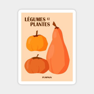 Pumpkins, Food market, Posters aesthetic, Vegetable print, Exhibition poster, Cottagecore, Autumn kitchen decor Magnet