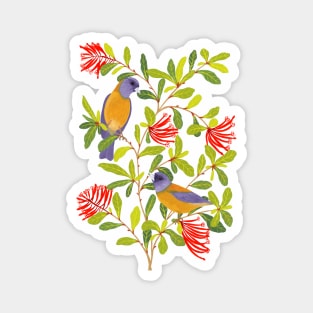 Colorful birds on floral branch Magnet