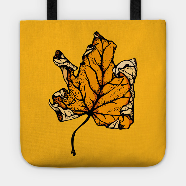 colourful autumn leaves
