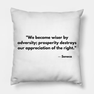 We become wiser by adversity; prosperity destroys our appreciation of the right. – Seneca Pillow