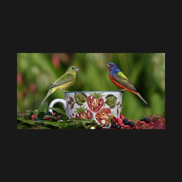 Painted Bunting Birds by candiscamera