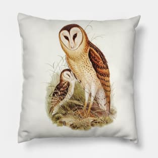 Grass-Owl (Strix candida) Pillow