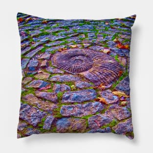 A Magical ammonite at Glastonbury Pillow