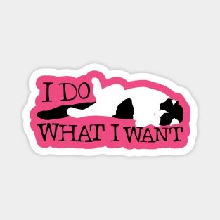 I DO WHAT I WANT Magnet