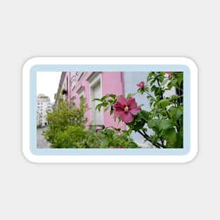 Paris Rue Cremieux Pink Flowers Magnet