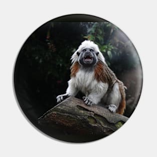 Cotton Top Tamarin Pin