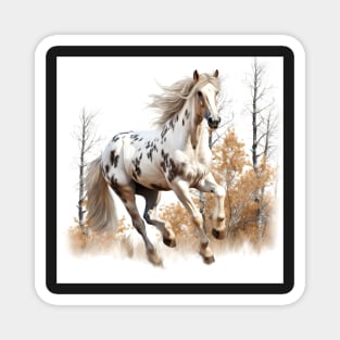 Appaloosa Horse Sticker Magnet