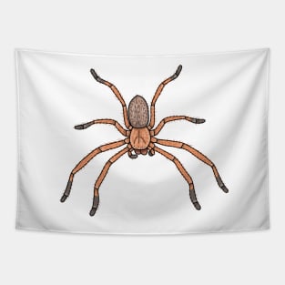 Delena Cancerides social huntsman Tapestry