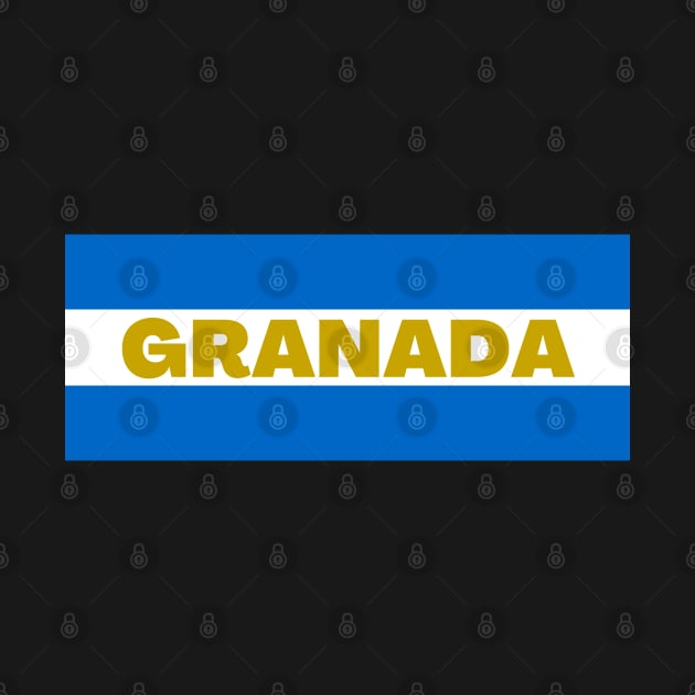 Granada City in Nicaraguan Flag Colors by aybe7elf