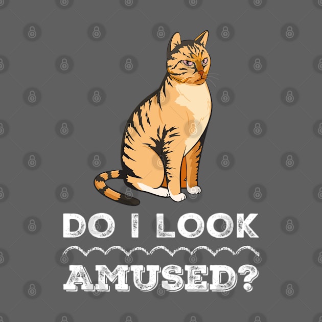 Funny Bad Mood Do I Look Amused Sarcastic Cat Saying by egcreations