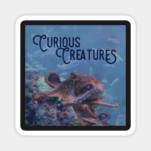 Curious Creatures Magnet