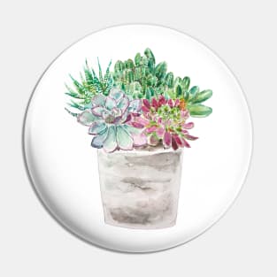 succulents and cactus in pot watercolor 2020 Pin