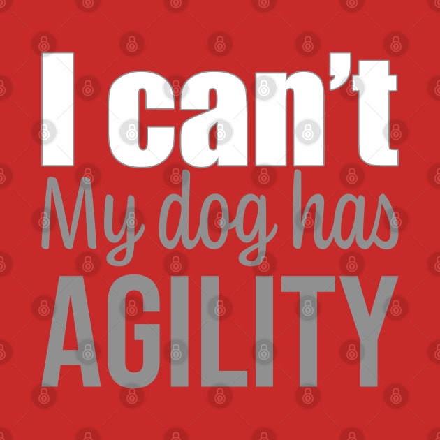 I can't, my dog has agility in English by pascaleagility