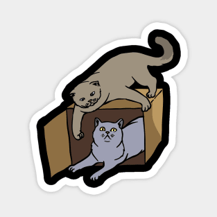 2 cats playing Magnet