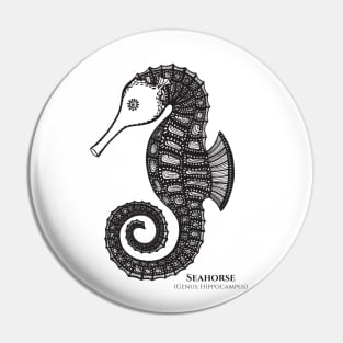 Seahorse with Common and Latin Names - seahorse drawing - animal design Pin