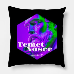 Temet Nosce Pillow