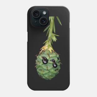 Green female cone of coastal redwood Phone Case